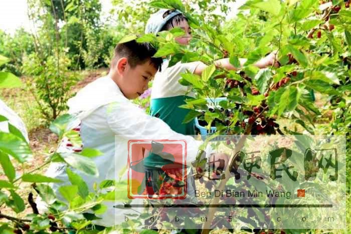 苏州三六六社会实践青少年研学之旅探索桑蚕文化传承丝绸文明